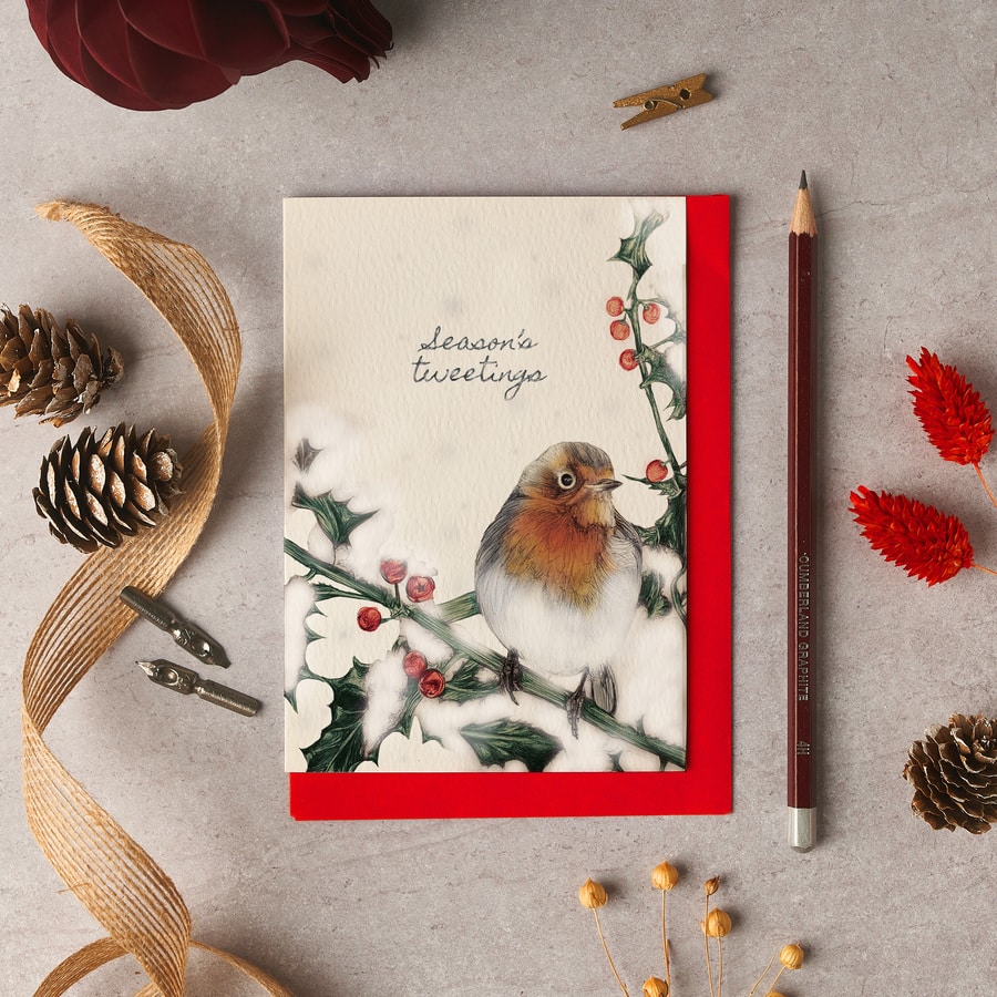 Robin Christmas Card