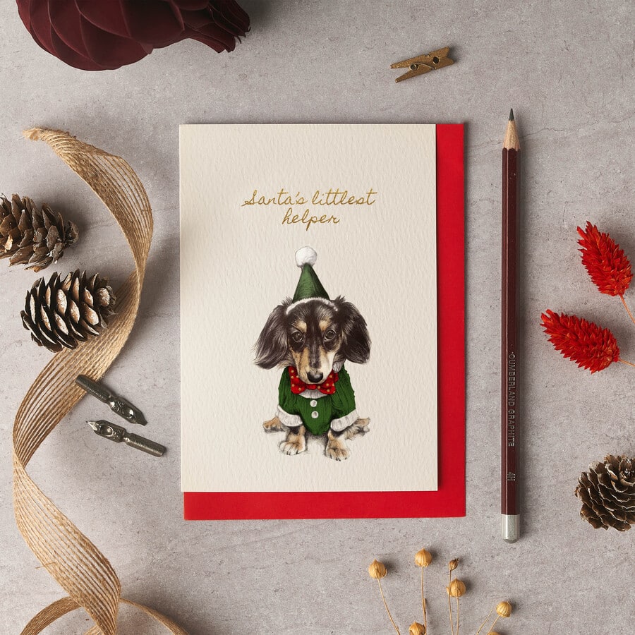 Winston Dachshund Christmas Card