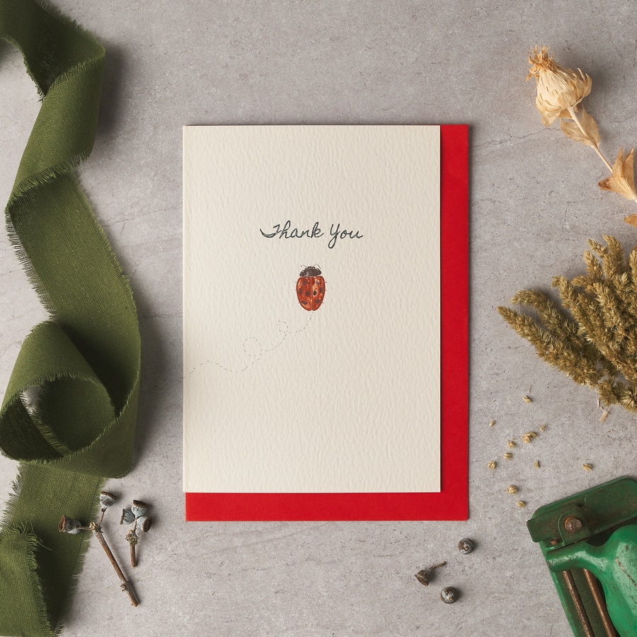 Thank You Ladybird Card