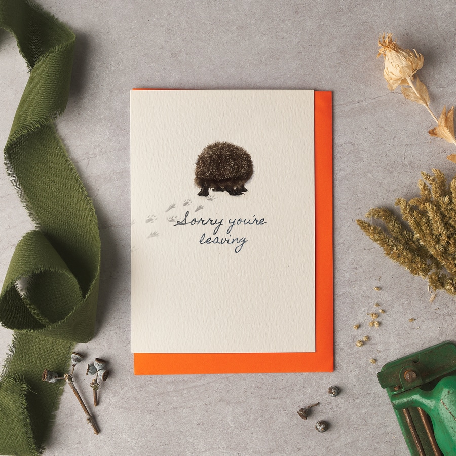 Sorry you're leaving Hedgehog Card