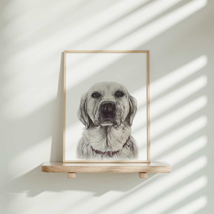 Dog Art Print - Zara the Goldador
