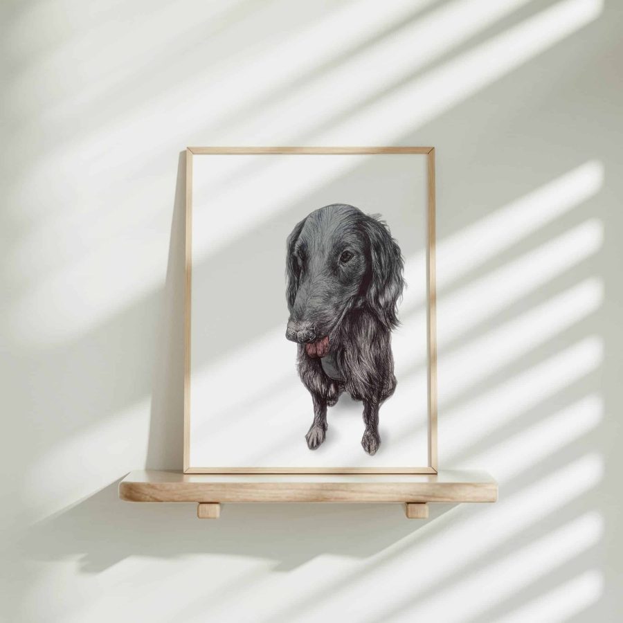 Dog Art Print - Barney the Flat- Coated Retriever