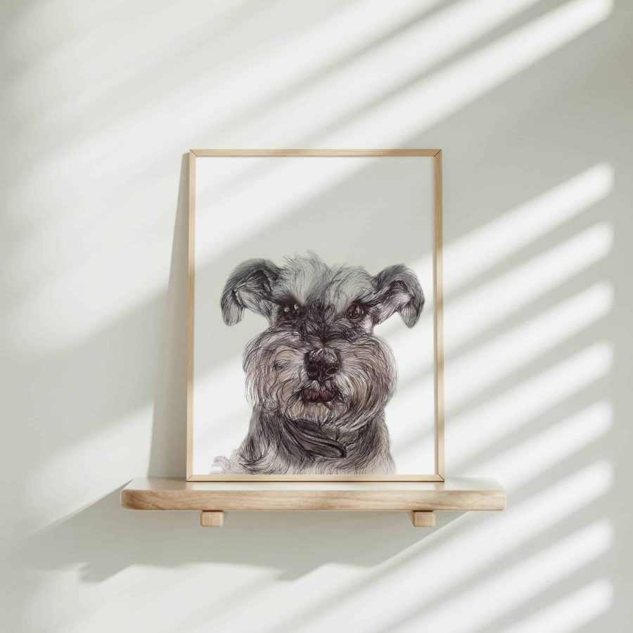 Dog Art Print - Pip the Minature Schnauzer