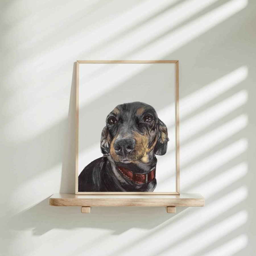 Dog Art Print - Lou the Dachshund