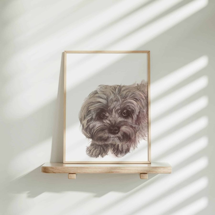 Dog Art Print - Biscuit the Cavapoo