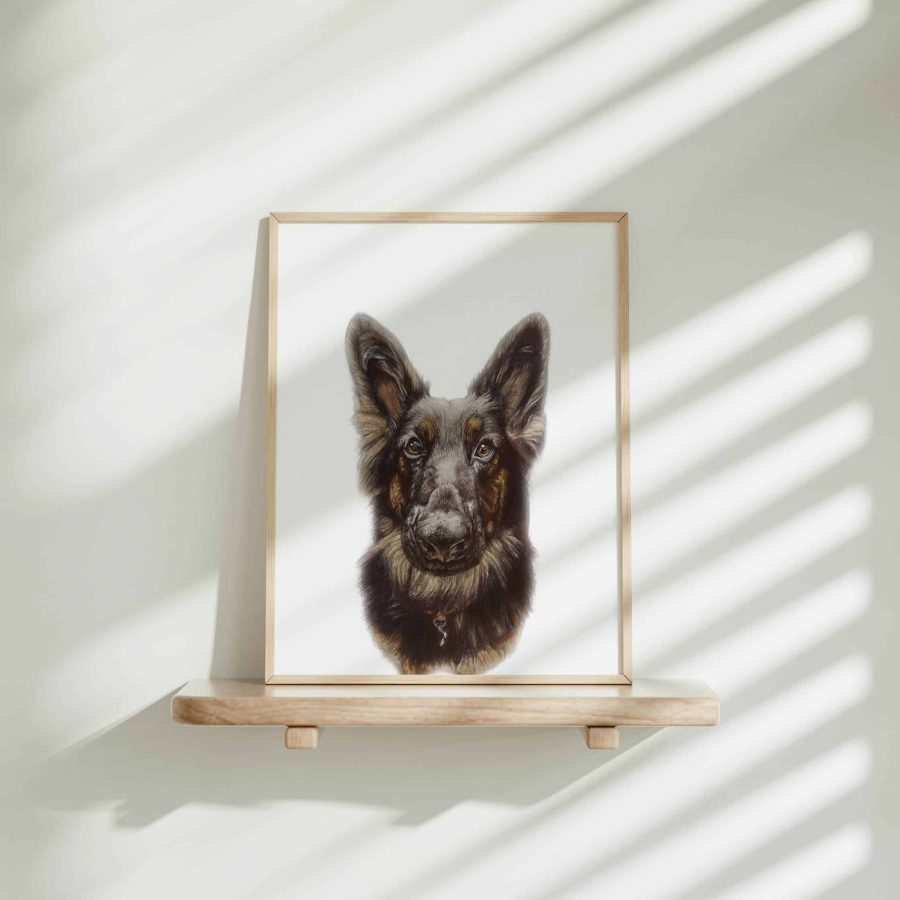 Dog Art Print - Raya the Alsatian