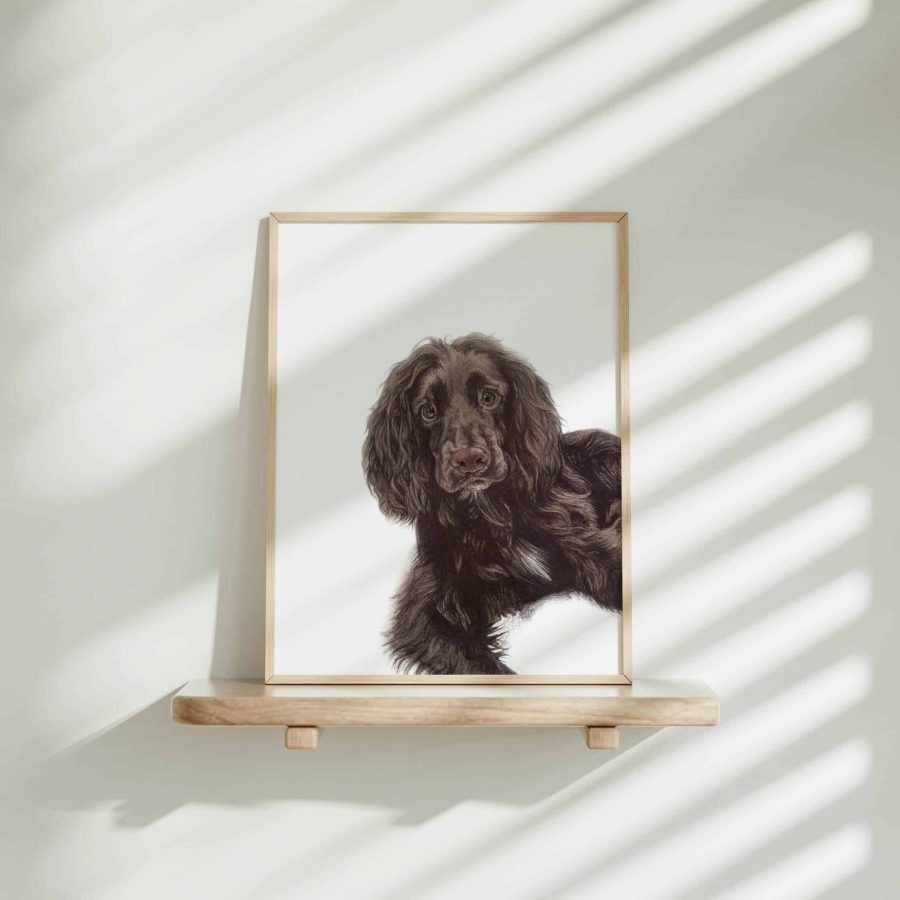 Dog Art Print - Gus the Working Cocker Spaniel