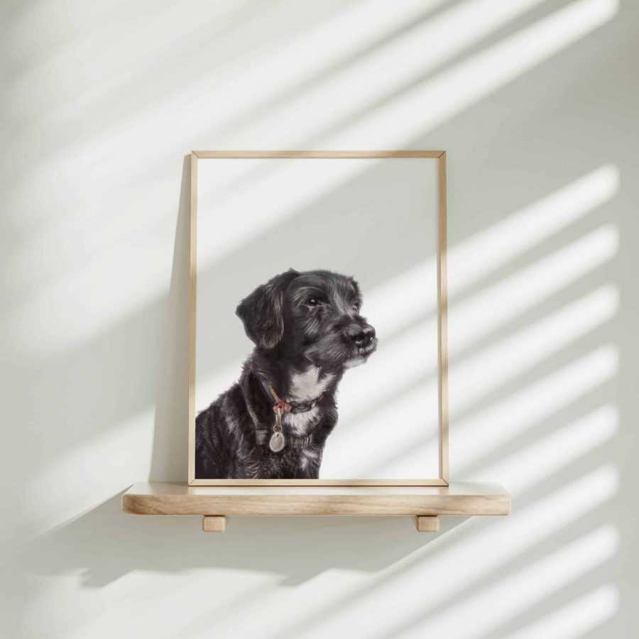 Dog Art Print - Colin the Rescue (Mixed breed)