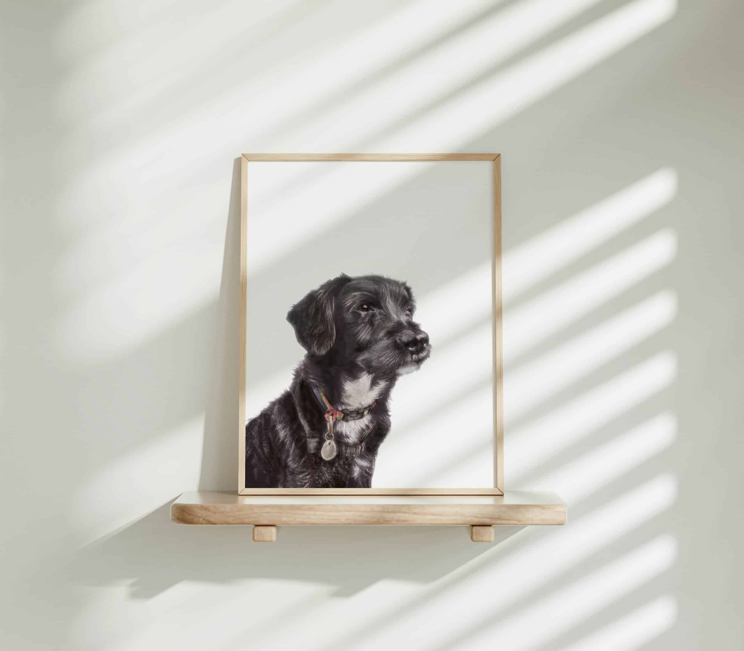 Dog Art Print - Colin the Rescue (Mixed breed)