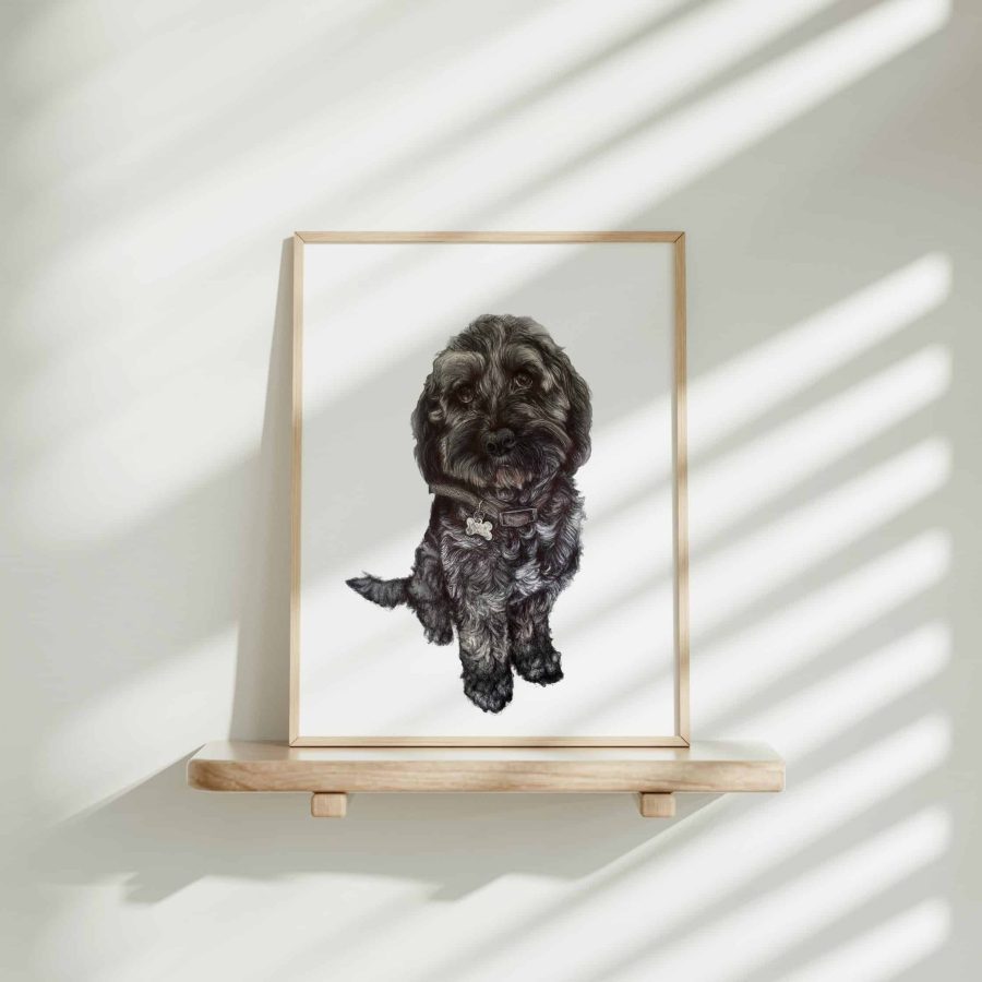 Dog Art Print - Obi the Cockapoo