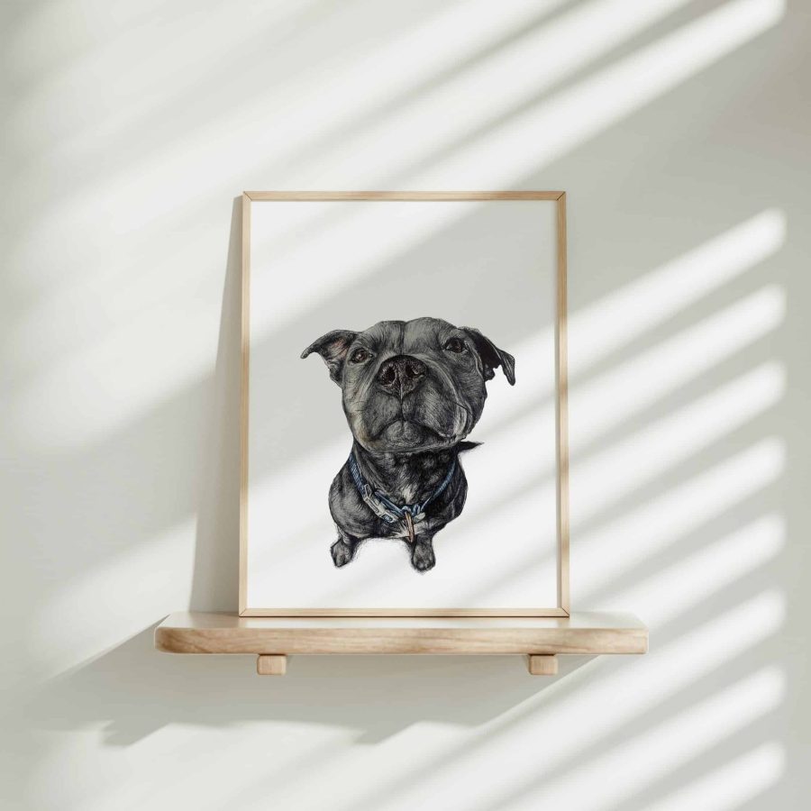 Dog Art Print - Millie the Staffy