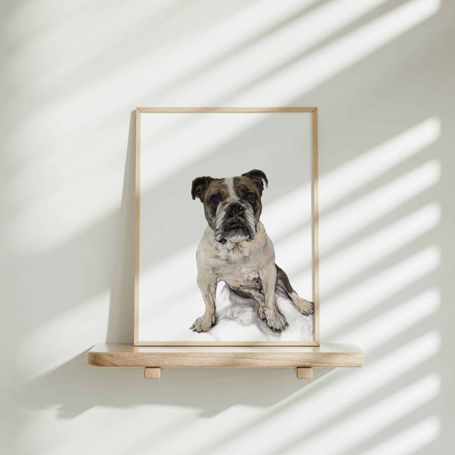 Dog Art Print - Maddison the Boston Bulldog Mix