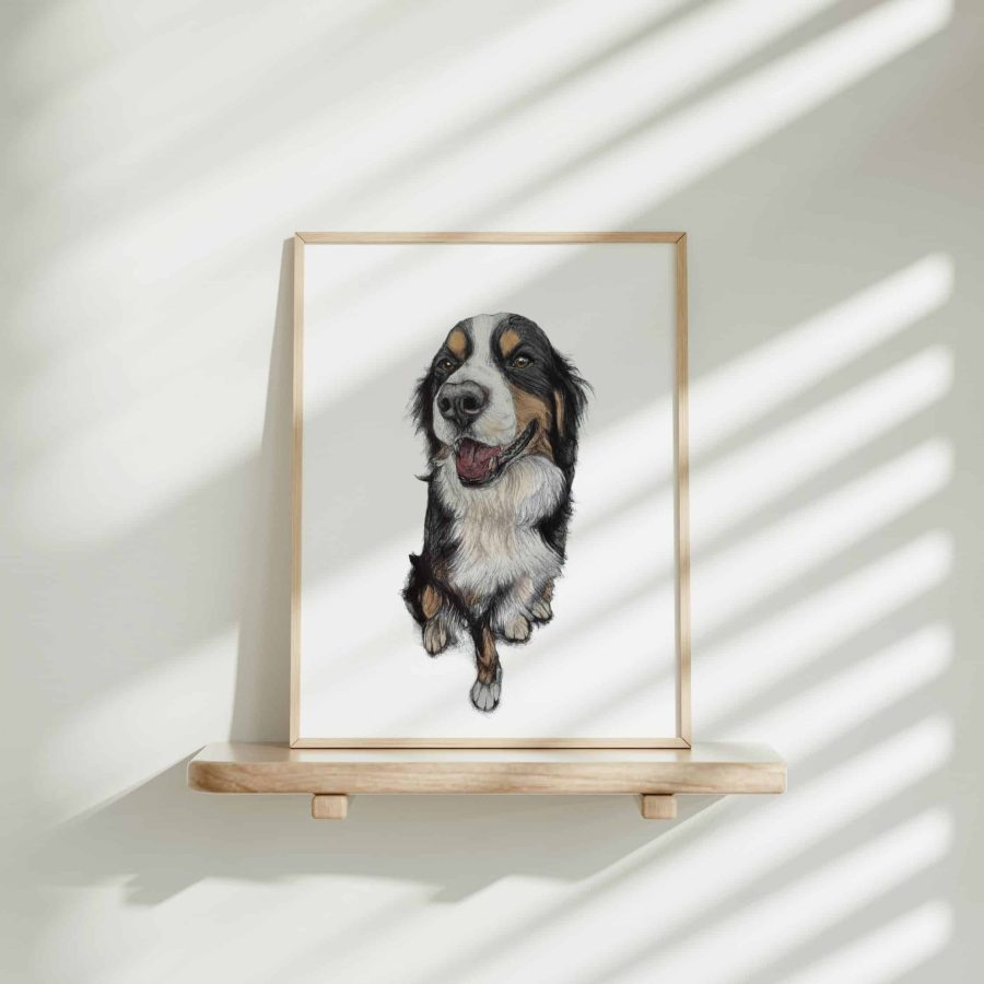 Dog Art Print - Whistler the Bordernese