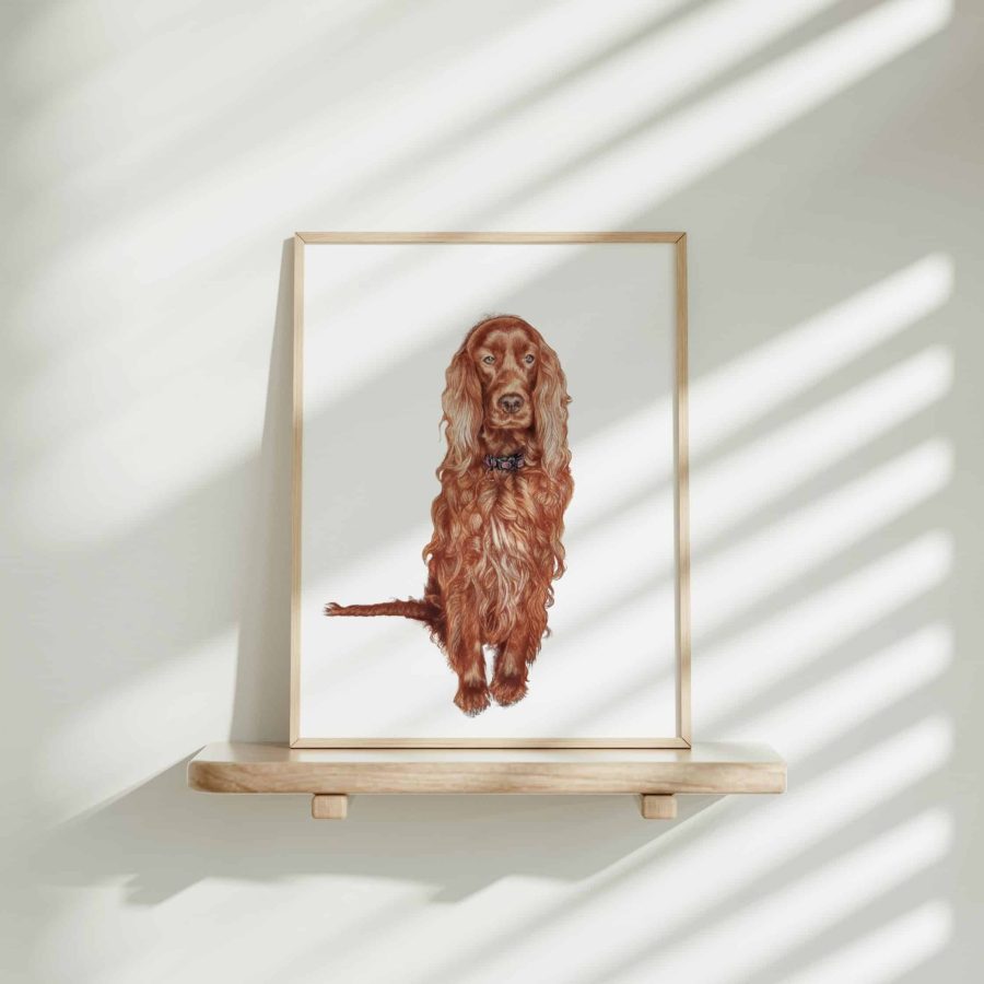 Dog Art Print - Murphy the Red Setter