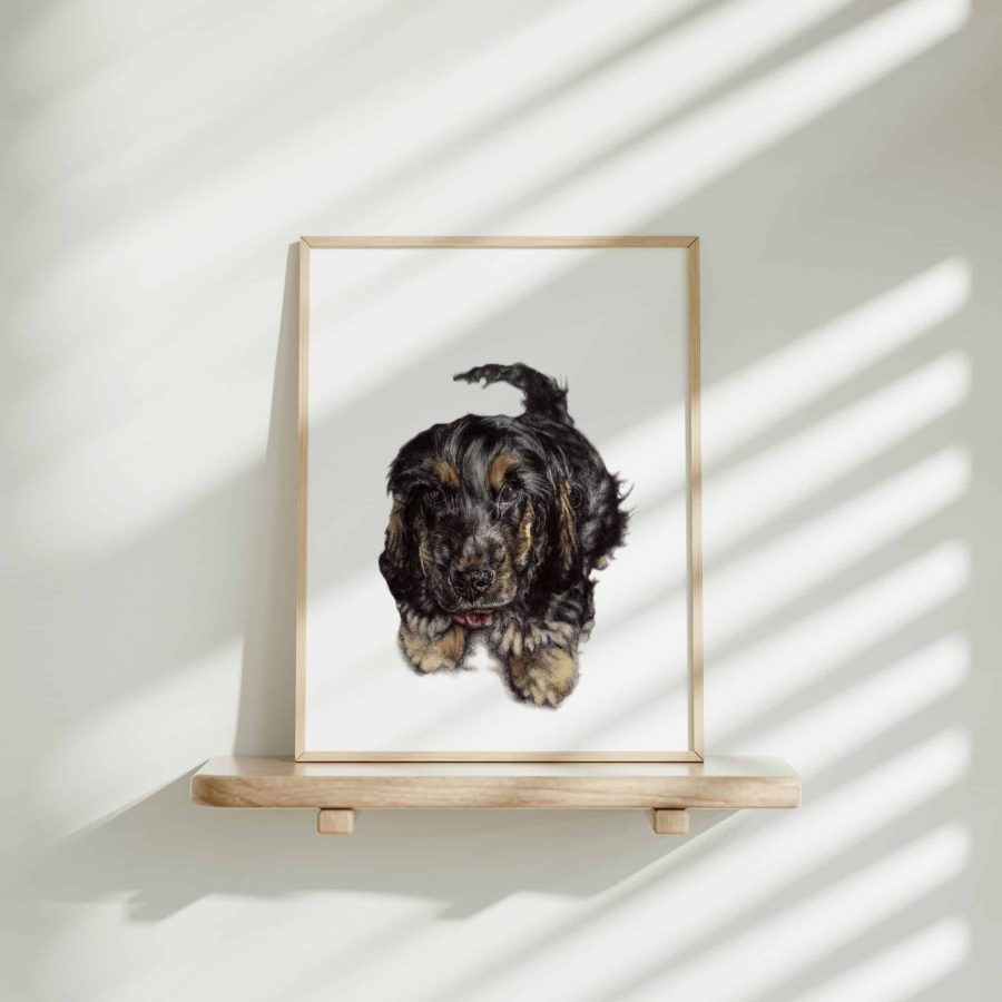 Dog Art Print - Ziggy the Show Cocker Spaniel