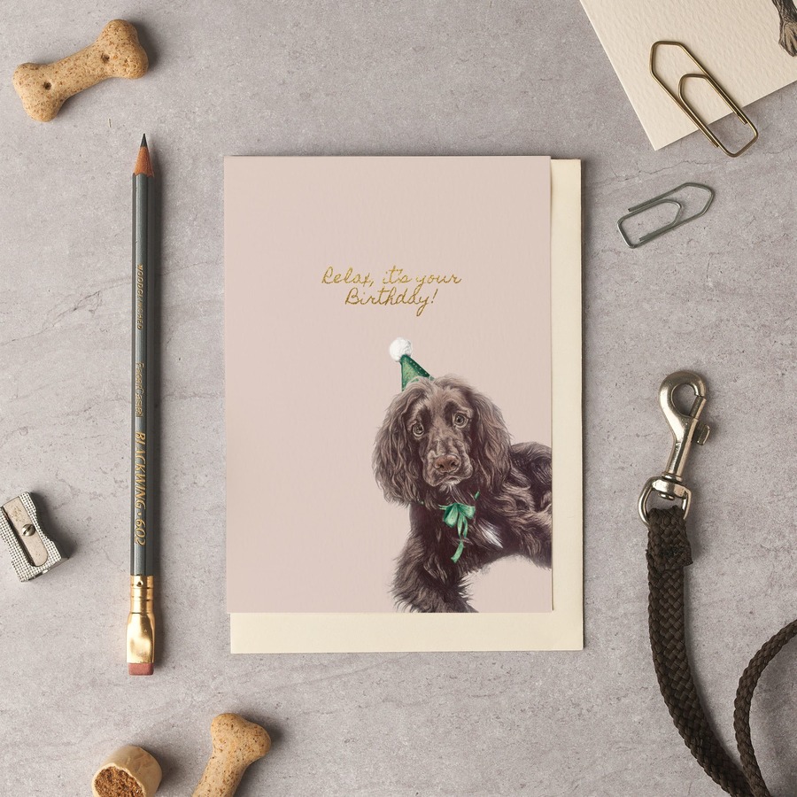 Relax, it's your Birthday Spaniel Card