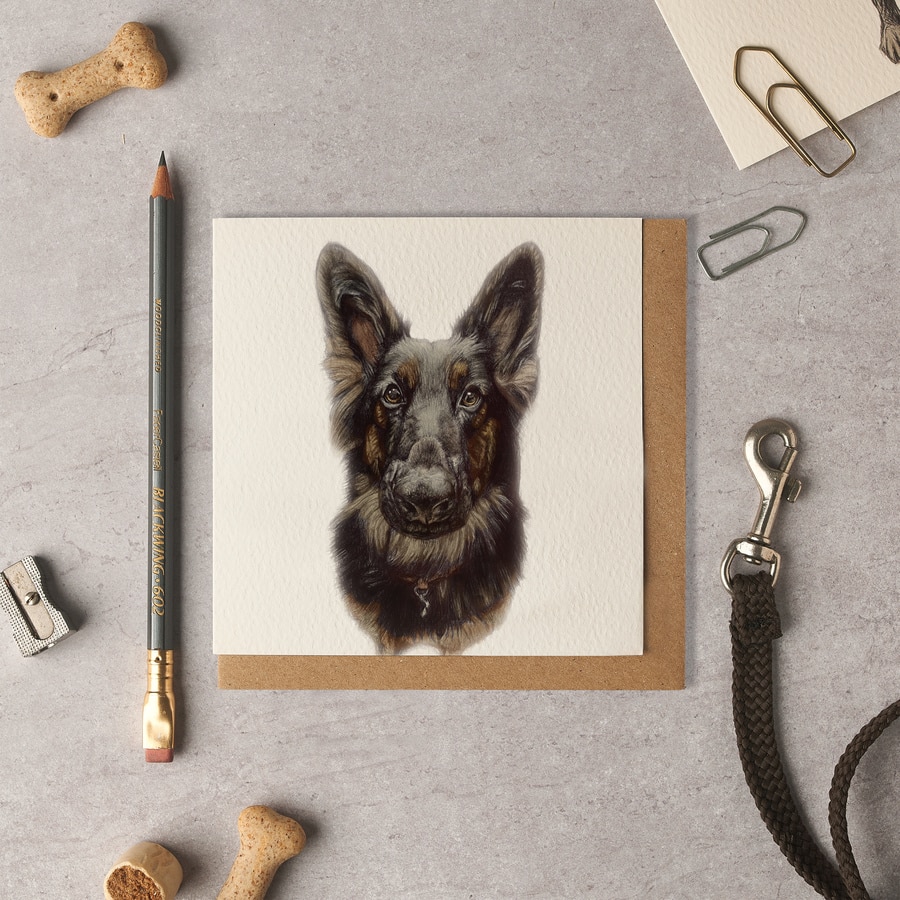 Raya German Shepherd