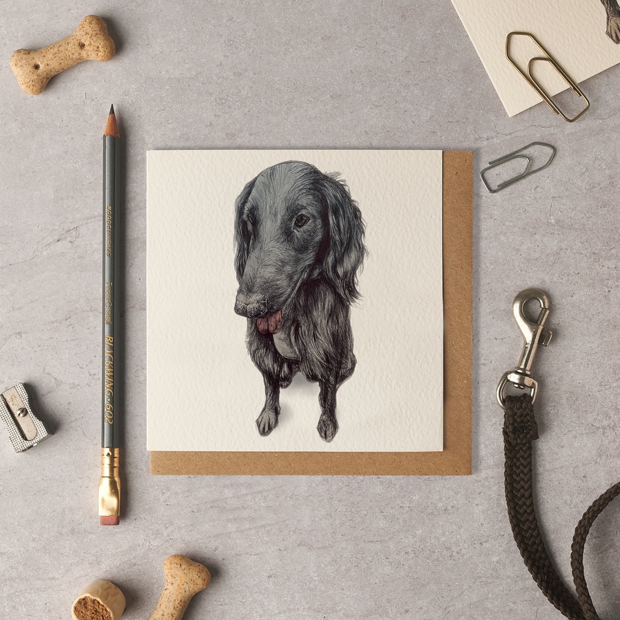 Barney Flattie Blank Card