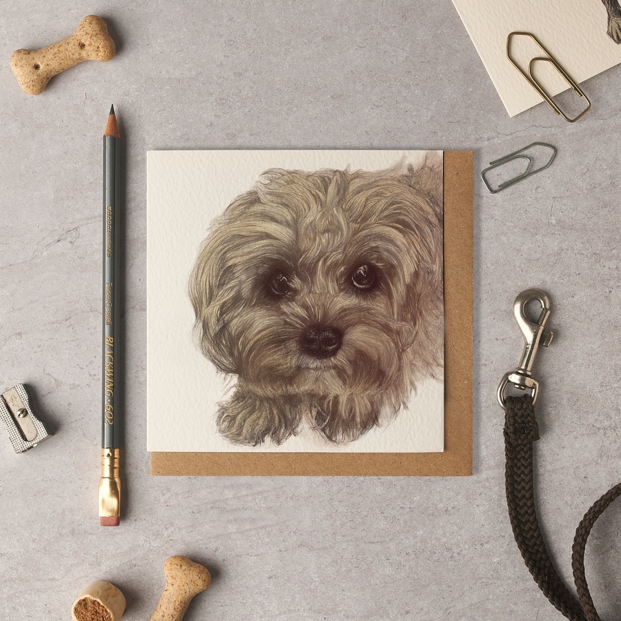 Biscuit Cavapoo Blank Card