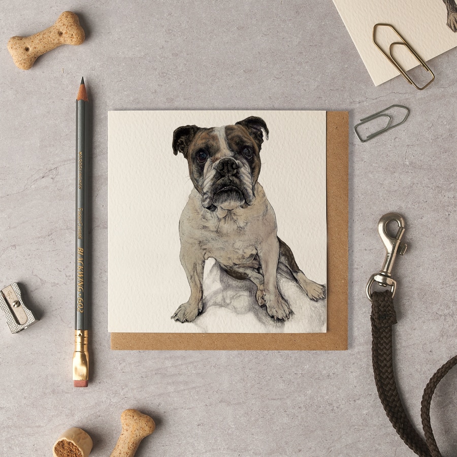 Maddison Boston Bulldog Blank Card