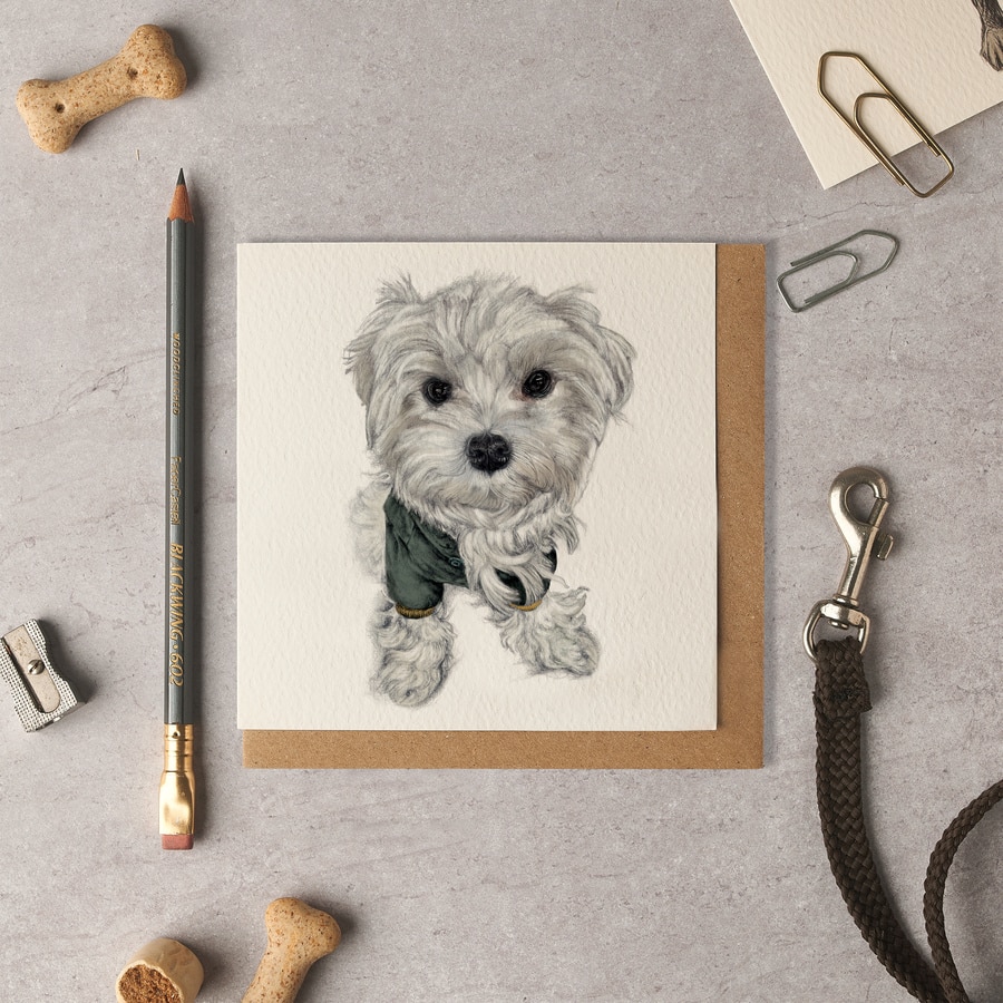 Freddie Miniature Maltese Blank Card