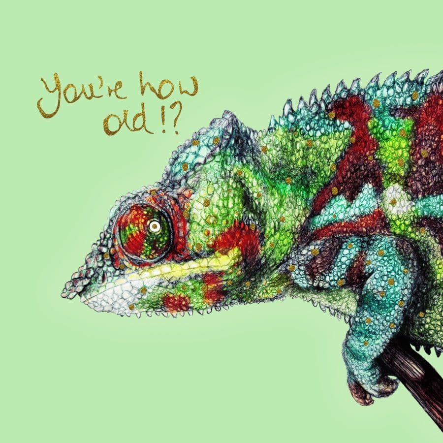 You're How Old?! Chameleon Card
