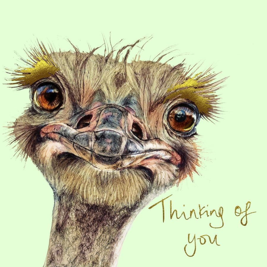 Thinking of You Ostrich Card