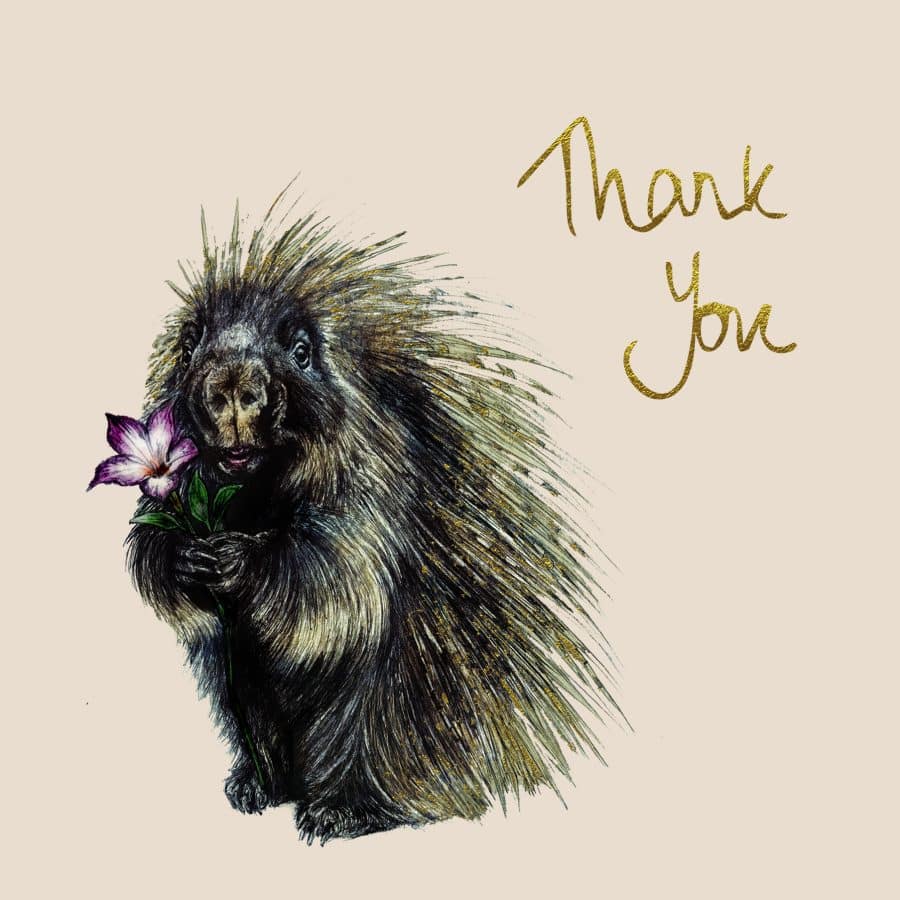 Thank You Porcupine Card