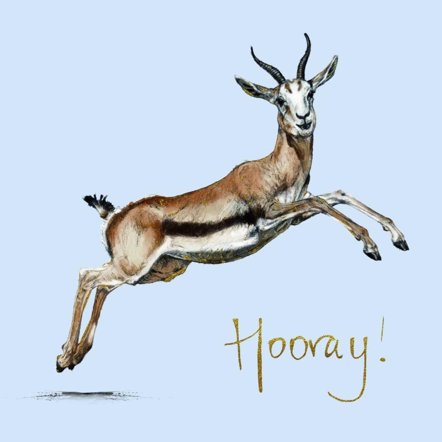 Hooray Gazelle Card