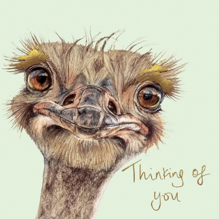 Thinking of You Ostrich Card