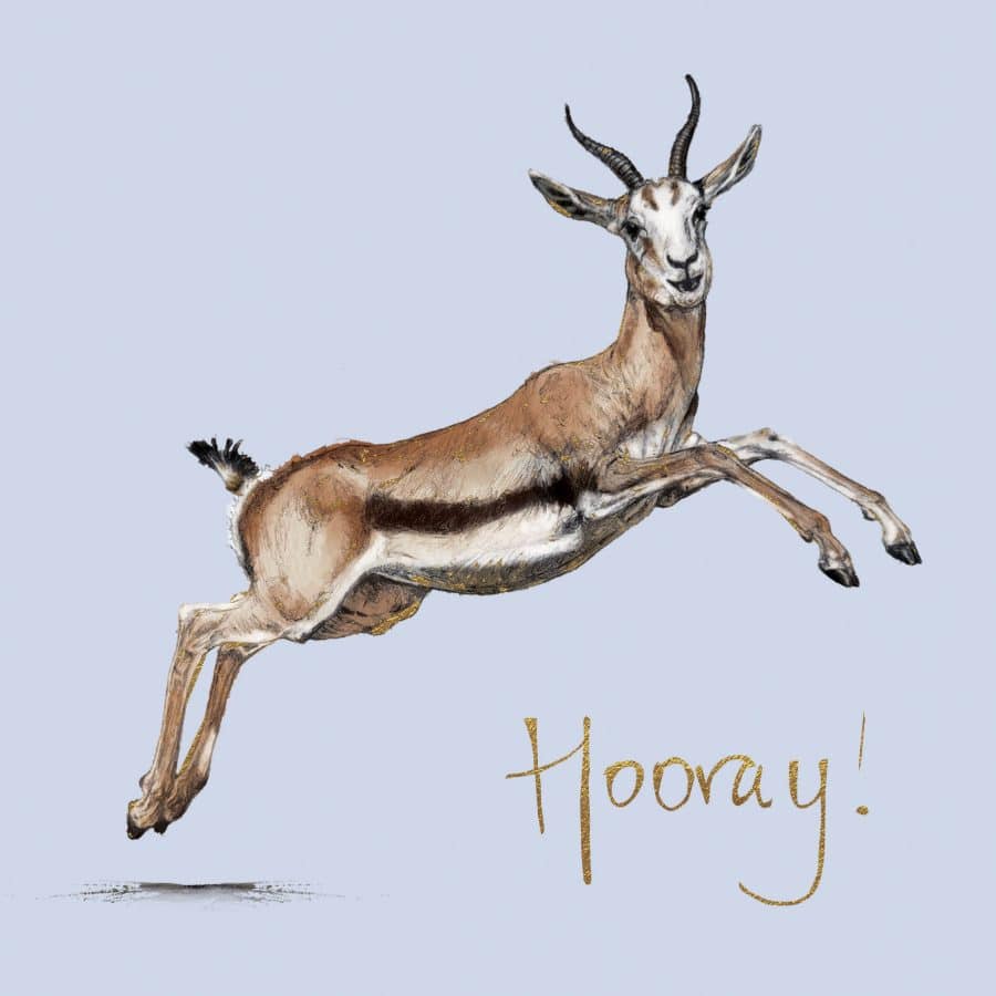 Hooray Gazelle Card