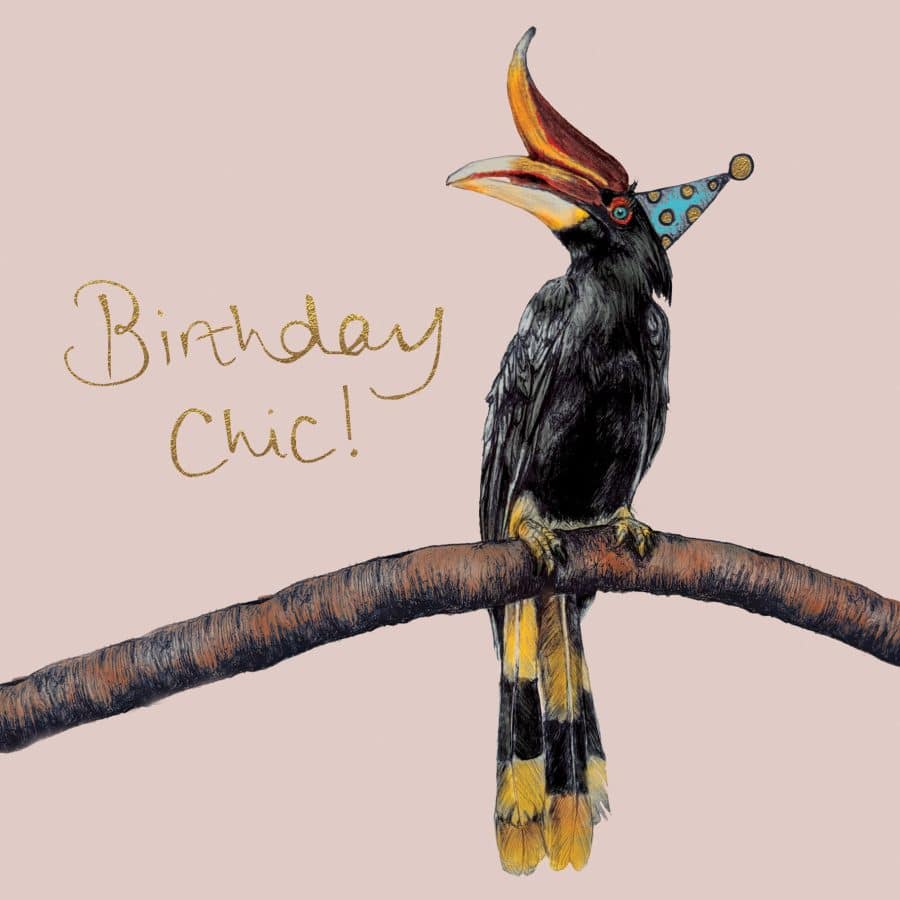 Birthday Chic Hornbill Card